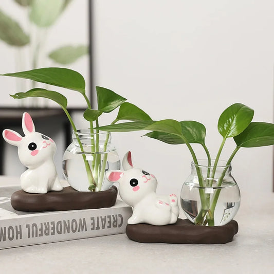 Hydroponic Rabbit Plant Vases