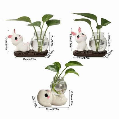 Hydroponic Rabbit Plant Vases